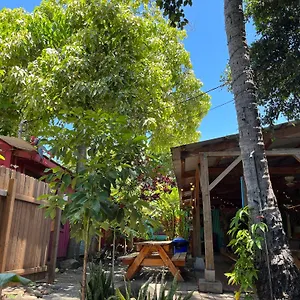 Banana Maui USA